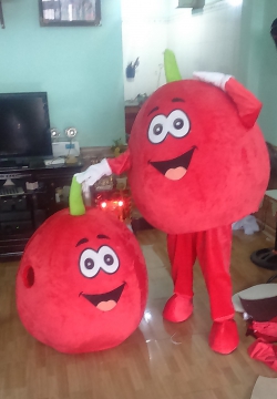 MASCOT HÌNH ,Trái Táo Đỏ