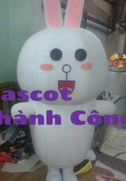 Mascot mô hình Thỏ CONY