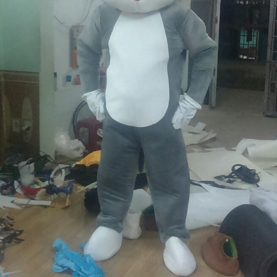 Mascot Linh Vật Mèo Tom