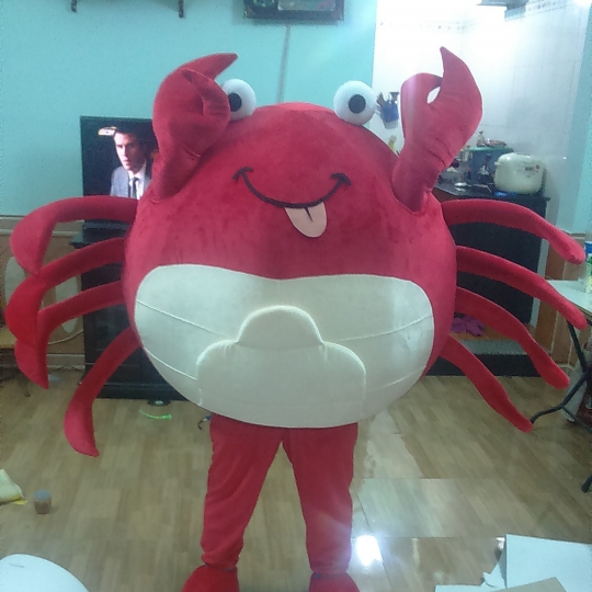MASCOT MÔ HÌNH CUA MỘT CÀNG 