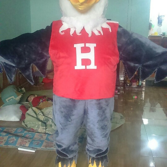 MASCOT LINH VẬT ĐẠI BÀNG
