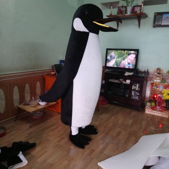 Mascot Chim Cánh Cụt