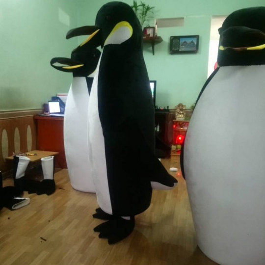 Mascot Chim Cánh Cụt