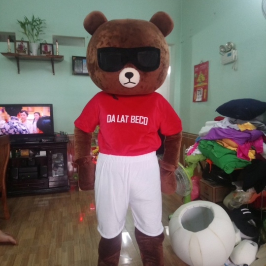 Mascot Gấu 