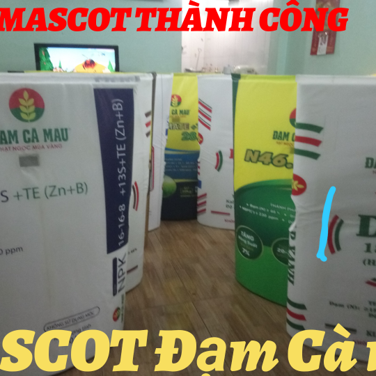 Mascot mô hình cái bao 